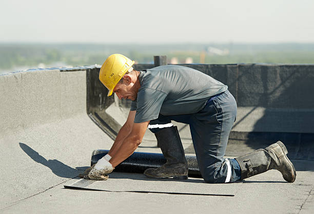 Best Commercial Insulation in Forest Park, IL