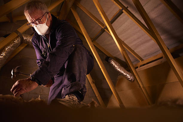 Best Commercial Insulation in Forest Park, IL